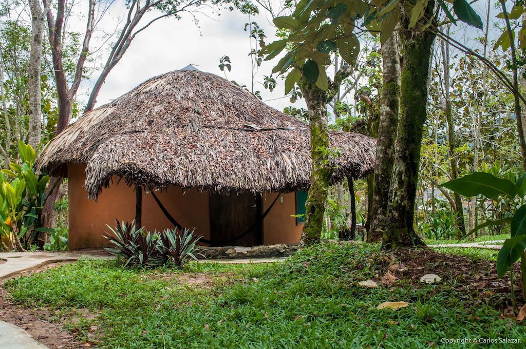Vila El Colombre Palenque Pokoj fotografie