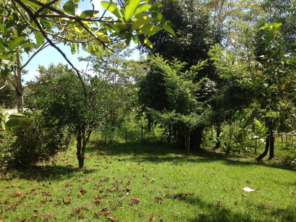 Vila El Colombre Palenque Exteriér fotografie
