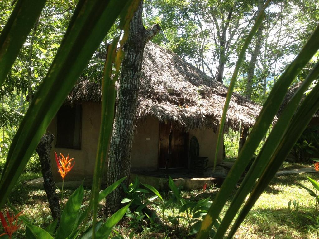 Vila El Colombre Palenque Exteriér fotografie