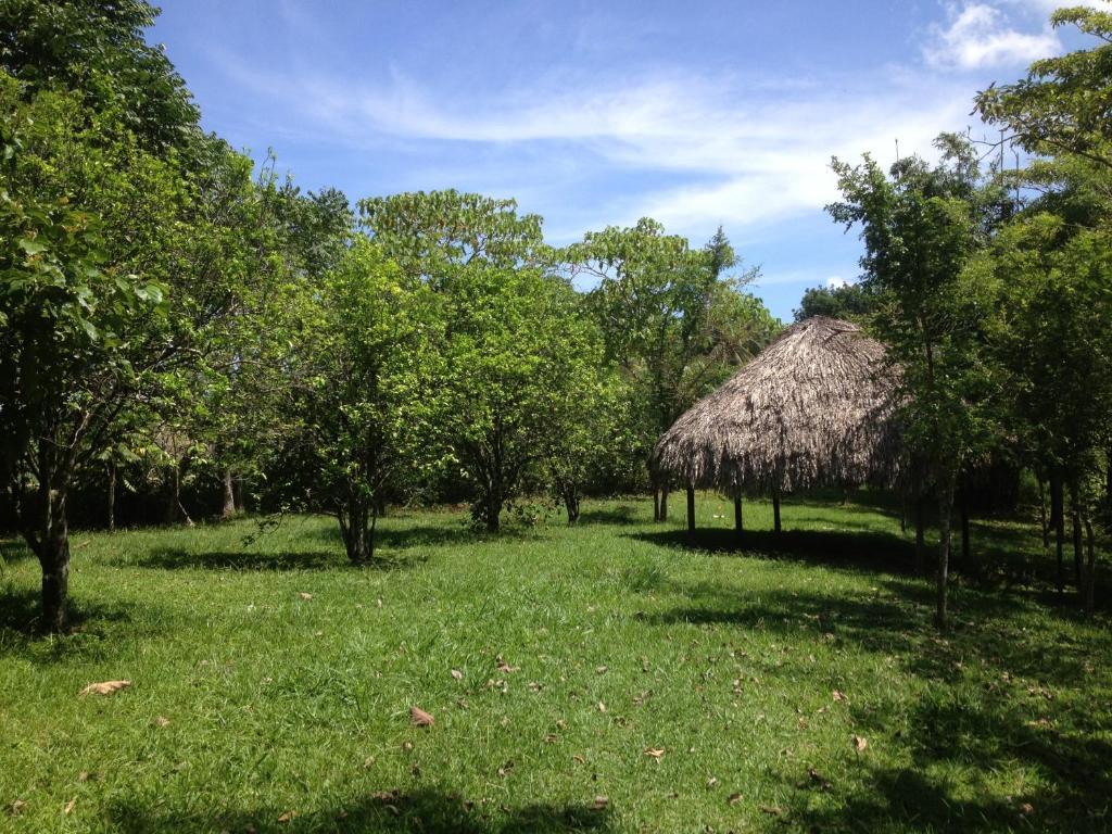 Vila El Colombre Palenque Exteriér fotografie