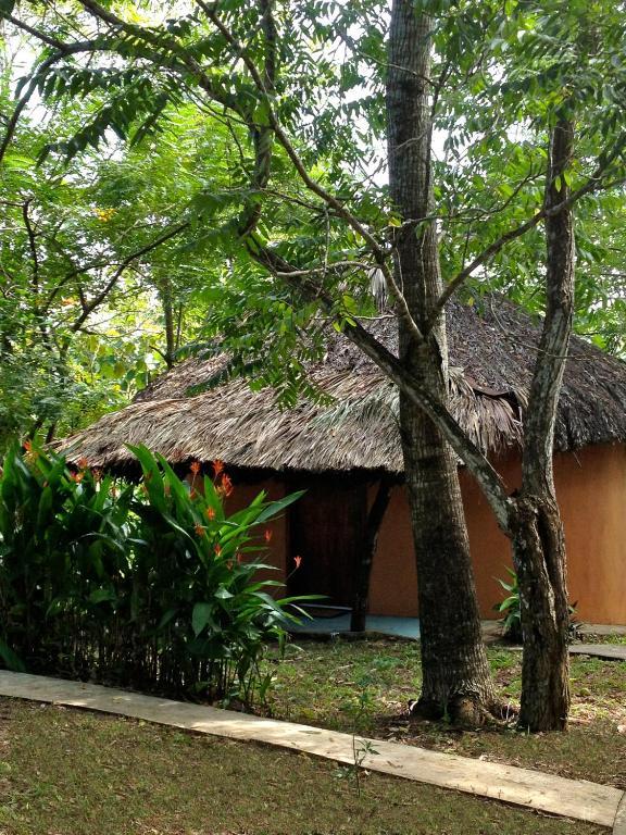 Vila El Colombre Palenque Exteriér fotografie