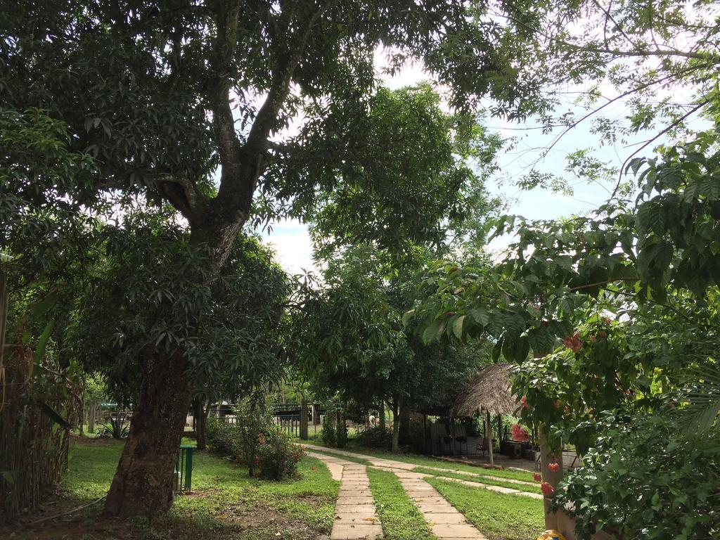 Vila El Colombre Palenque Exteriér fotografie